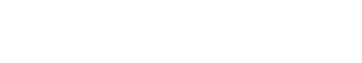 Nemt Årsregnskab